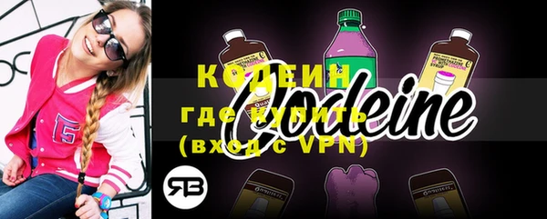 амф Липки