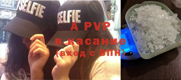 амф Липки
