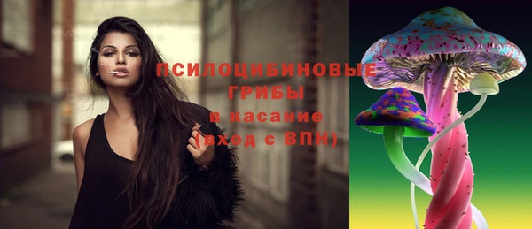 МДПВ Лиски