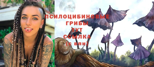 круглые Лагань